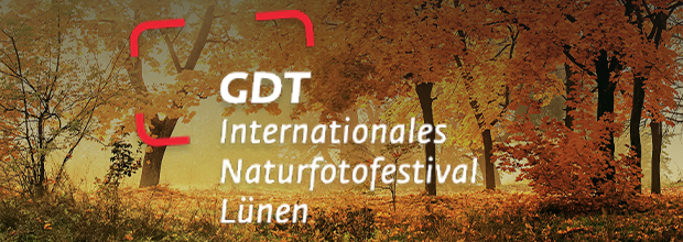 GDT Festival