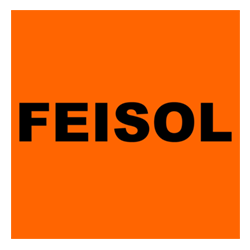 Feisol Logo