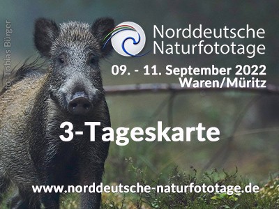 3-Tageskarte 21. Norddeutsche Naturfototage 9. - 11.9.2022