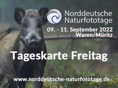 Tageskarte Freitag 21. Norddeutsche Naturfototage 9.9.2022 (ohne Seminar)
