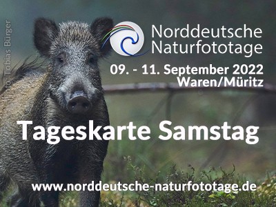 Tageskarte Samstag 21. Norddeutsche Naturfototage 10.9.2022 (ohne Buffet)
