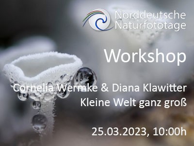 Workshop: Cornelia Wermke und Diana Klawitter Kleine Welt ganz groß - Makrofotografie und Focus Stacking