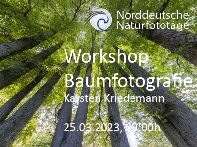 Karsten Kriedemann - Praxis-Workshop Baumfotografie