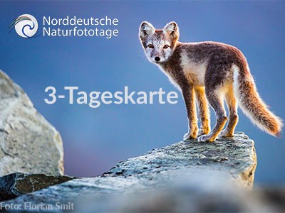 3-Tageskarte 23. Norddeutsche Naturfototage 22. - 24.3.2024