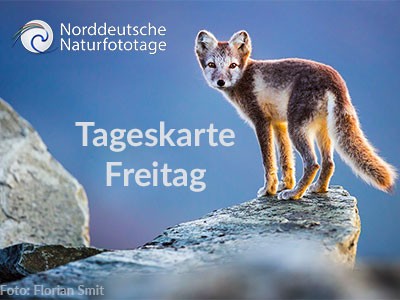 Tageskarte Freitag 23. Norddeutsche Naturfototage 22.3.2024