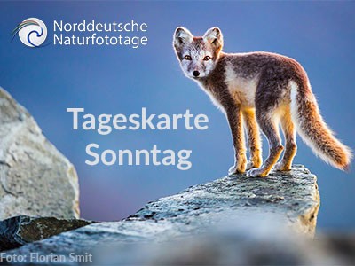 Tageskarte Sonntag 23. Norddeutsche Naturfototage 24.3.2024